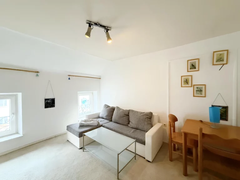 MÖBLIERTE 2-ZIMMERWOHNUNG IN ALTBAU ZU MIETEN!