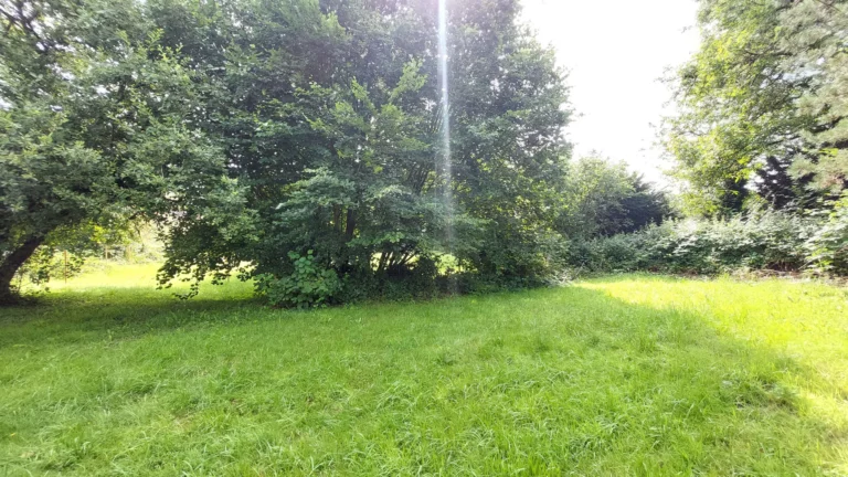 Großzügiges Baugrundstück in ruhiger Lage von Windeck!